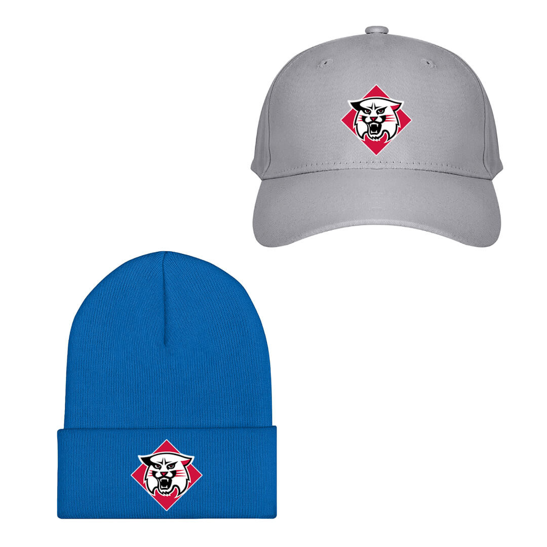 Davidson Wildcats Baseball Cap Beanie Hat - Davidson College Wildcats College Football Team Single Logo