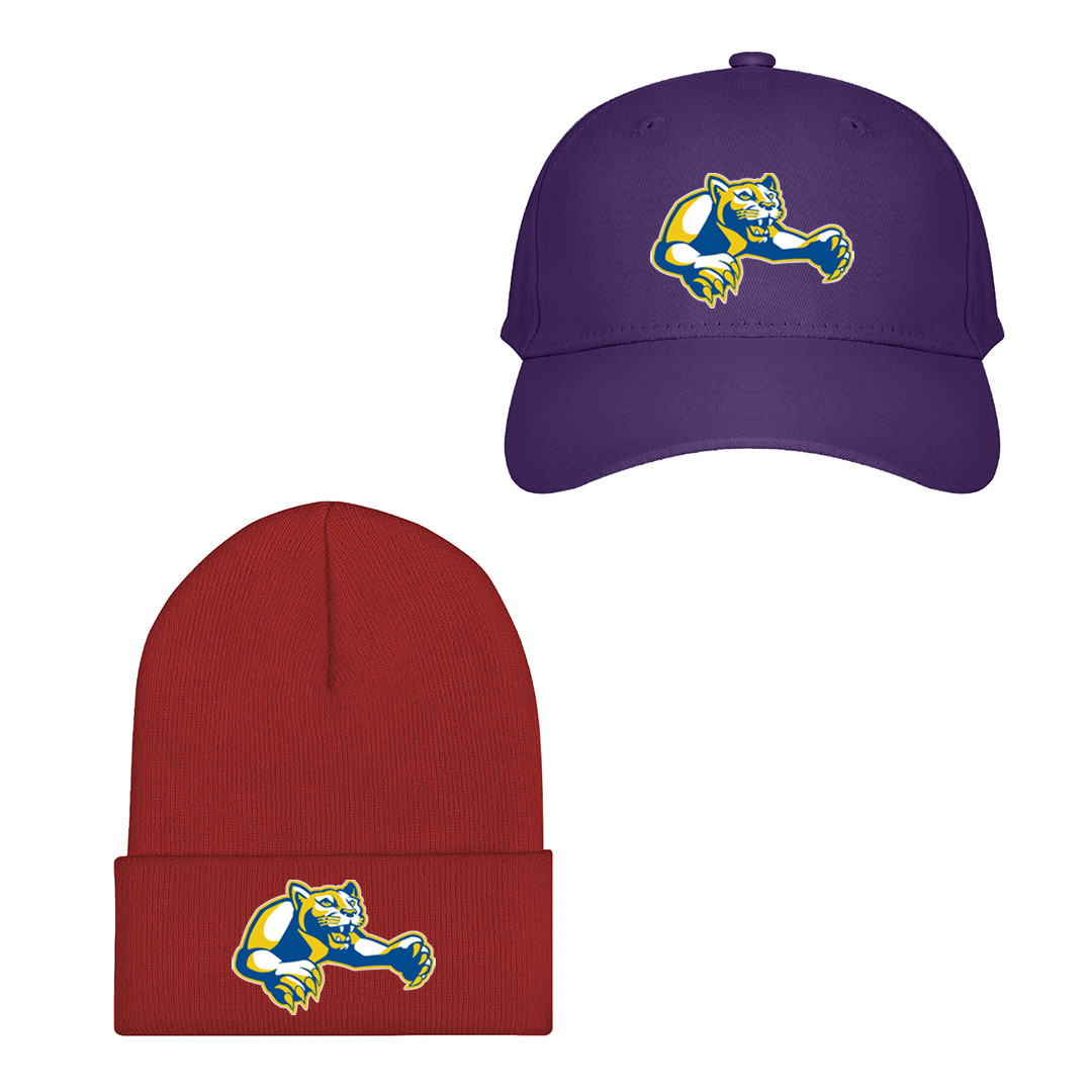 Lions Mars Hill University Baseball Cap Beanie Hat Lions Mars Hill