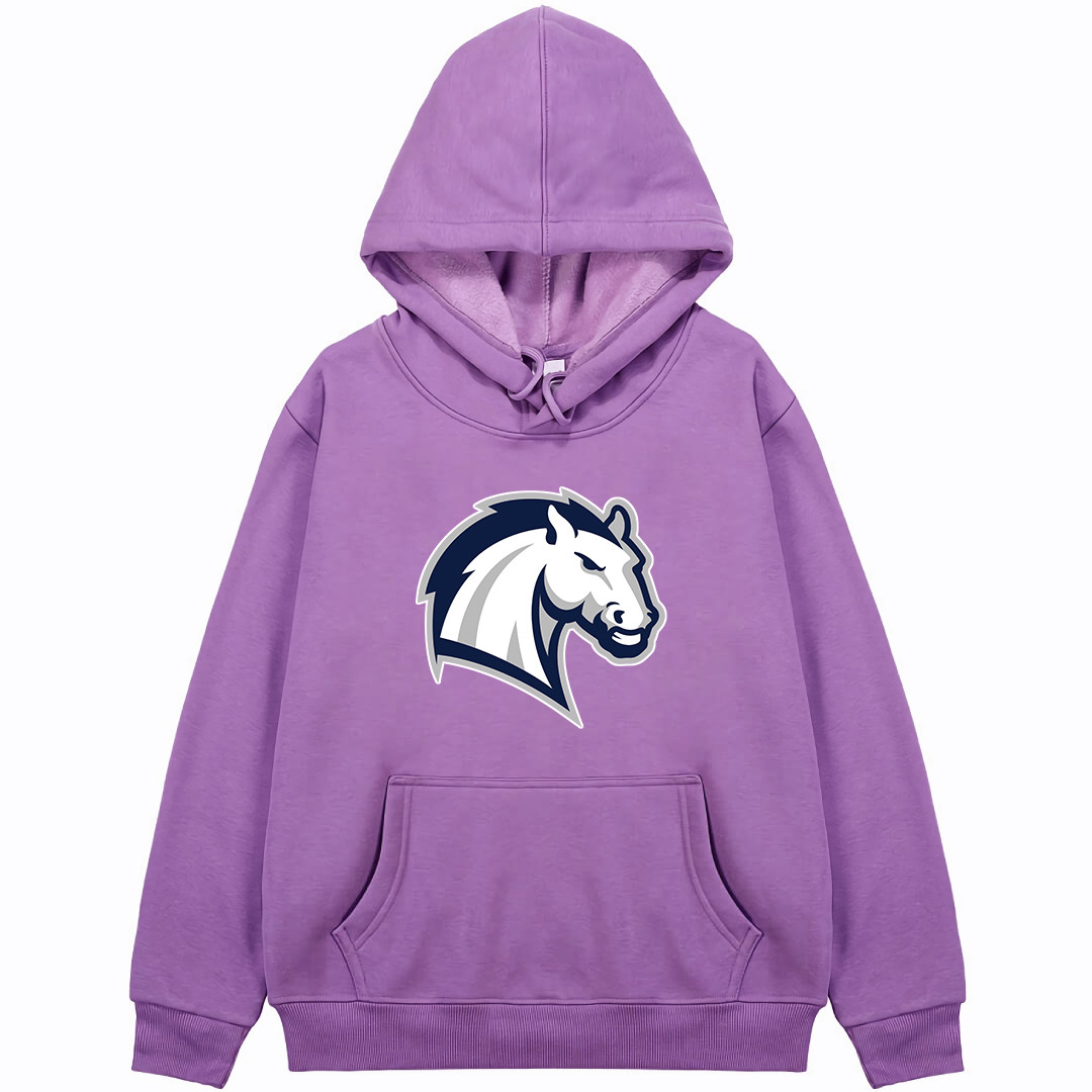 Chargers Hillsdale College Hoodie Sweatshirt Jacket - Chargers Hillsdale College College Football Team Single Logo