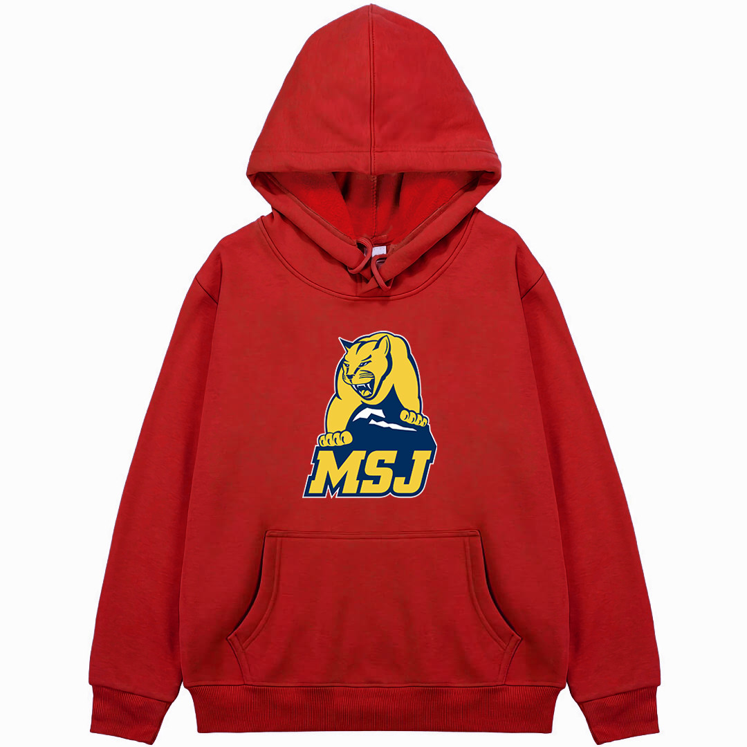 Mount St. Joseph University Lions Hoodie Sweatshirt Jacket - Mount St. Joseph University Lions College Football Team Single Logo