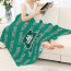 Plymouth Argyle FC Blanket Throw - Argyle Football Club Medley Monogram Wordmark