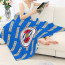 Reading FC Blanket Throw - Reading Football Club Medley Monogram Wordmark
