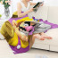 Super Mario Wario Blanket Throw - Wario Holding Coins Introduction