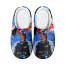 F1 Formula One Fernando Alonso Slippers - Fernando Alonso Alpine F1 Team 2021 Poster