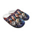 WWE Slippers - WWE Roman Reigns And Cody Rhodes Transformation Poster