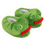 Pepe Sad Frog Slippers